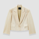 Beige Berlier Embroidered Stripes Jacket - Joseph